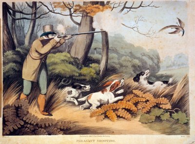 Lov na bažanty v Anglii. 19. století rytina. Gien, lovecké muzeum od Unknown artist