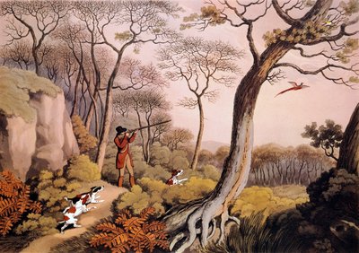 Lov bažantů v Anglii. 19. století rytina. Gien, lovecké muzeum od Unknown artist
