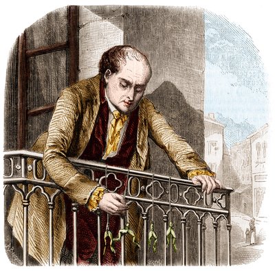 Ilustrace pokusů Luigiho Galvaniho, italského fyzika a lékaře (1737 - 1798) se žábami. od Unknown artist