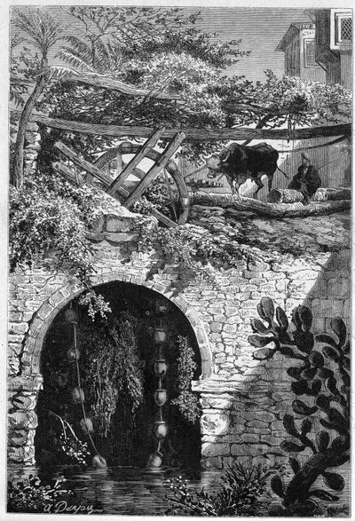 Zavlažování v Egyptě: vůl otáčí kolem, kolem kterého jsou omotaná vědra. Rytina v „“ Le Monde Illustré““ č. 1313 ze dne 27. května 1882. od Unknown artist