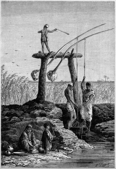 Zavlažování v Egyptě: chadoufs (nebo shadoufs) na březích Nilu. Rytina v „“ Le Monde Illustré““ č. 1313 ze dne 27. května 1882. od Unknown artist