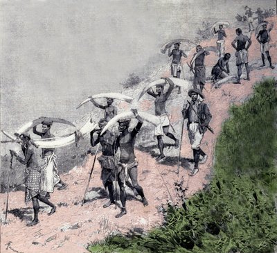 Obchod se slonovinou: karavana konžských dopravců nese sloní obranu. Rytina 19. století od Unknown artist