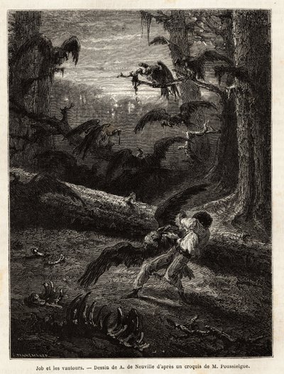 Job (cestovní společník redaktora), napaden supy. Rytina k ilustraci příběhu Quatre mois en Florida, od M. Pousselgue, v letech 1851-1852, publikovaná v „”le tour du monde””, pod vedením D