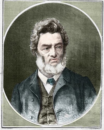 Jules Favre (1809-1880), francouzský politik a právník. od Unknown artist