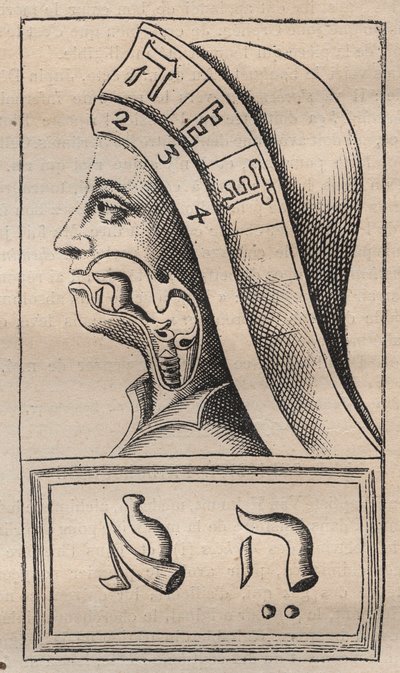 Kabala - Kabbalale - Ilustrace z: "Abeceda hebrejské abecedy" (Abeceda přírody) Francise Mercuryho van Helmonta (1618-1699) (Francois Mercure Van Helmont) - V tomto díle van Helmont tvrdil, že každý lett od Unknown artist