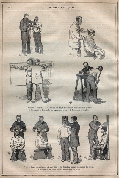 Soudní antropometrie nebo bertillonnage, metoda Alphonse Bertillona (1853-1914) - Rytina v „“La Science francaise““ od Unknown artist