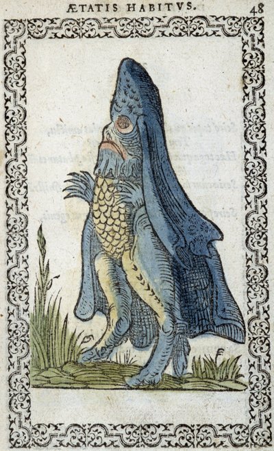 Mořský ježek - v „“Zvycích a podobiznách““ od Jeana Sluperia od Unknown artist