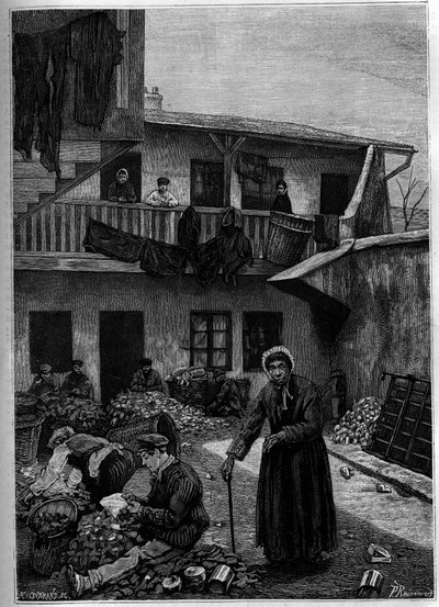 Hadrové: třídění z přírody. Rytina do „The Journal of Youth““ od Unknown artist