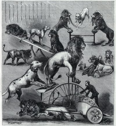 Les lions dresses du Nouveau Cirque à Paris: různé triky akrobatického čísla se lvy, krotiteli a psy. Rytina v “” La Nature”” 1890. Soukromá sbírka. od Unknown artist