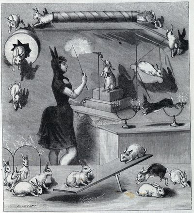 Les rabbits dresses du Nouveau Cirque v Paříži: tamptér v králičím kostýmu učící zvíře různá čísla. Rytina v “” La Nature”” 1890. Soukromá sbírka. od Unknown artist