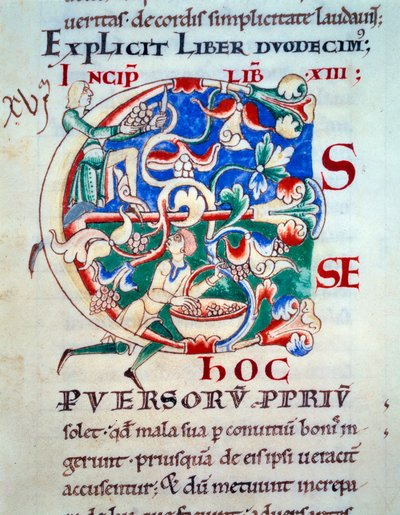 Lettrine C; vinná réva z počátku 12. století. Miniatura středověku. Rukopis „Moralia in Job““ z opatství Citeaux pro papeže Gregoire I od Unknown artist