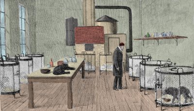 Louis Pasteur (1822-1895), francouzský chemik a fyzik ve své laboratoři v Paříži. od Unknown artist