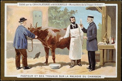 Louis Pasteur a jeho práce o nemoci dřevěného uhlí - reklamní značka Chocolats d