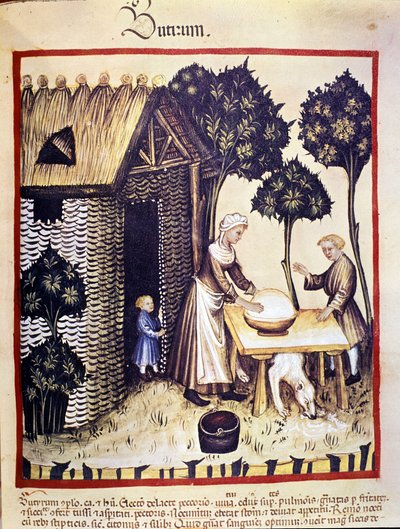 Výroba másla. Osvětlení z dojení medicíny a dietetiky „“Tacuinum sanitatis““ od Unknown artist