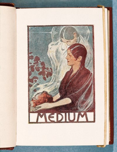"" Medium "": ilustrace sbírky zpráv P