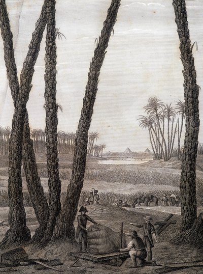 Memphis, pohled na ruiny (vědci a umělci) - v „“ Popis Egypta“, Imperial Editions od Unknown artist