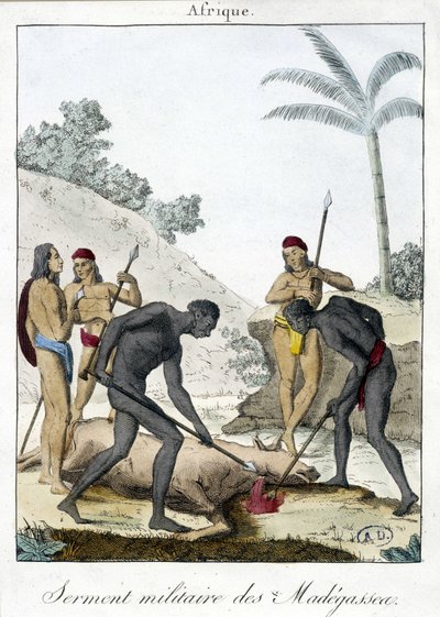 Vojenská přísaha obyvatel Madagaskaru (zabitý vůl) - grv. 1811 od Unknown artist