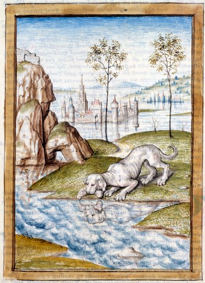 Miniaturní zvířata z německého překladu bajek „“ Kalila (Calila) a Dimna““ od Bidpai. Chantilly z 15. století, Musee Conde od Unknown artist