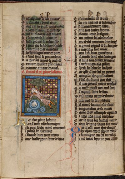 Miniatura Narcise obdivujícího svůj odraz ve fontáně z „Le Roman de la Rose“ od Unknown artist