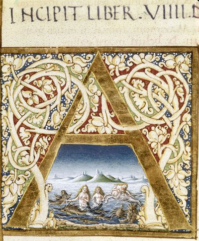 Miniatura představující sirény. Písmeno "" A"" - v "" Naturalis Historiae"" od Plinia staršího (23 - 79), ed. 1480. Knihovna Viktorie a Alberta od Unknown artist