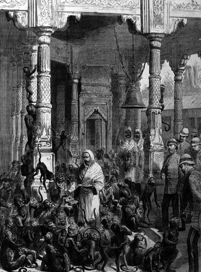 Opičí chrám opičí chrám ve Varanasi (dříve Benares) v roce 1877. od Unknown artist