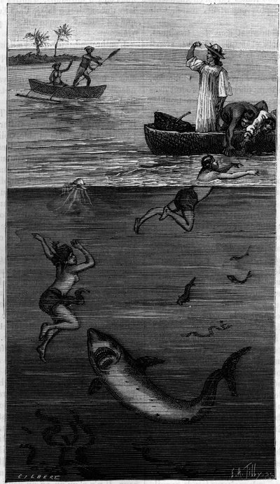 Kultura perlorodek na Tahiti: perlorodička napadená žralokem. (Podle dokumentů sdělených autorem). Rytina v „“ La Nature: revue des sciences et de leurs applications aux arts et a l