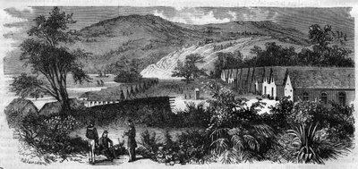 Nová Kaledonie - kajícník ostrova Nou - rytina z roku 1870 od Unknown artist