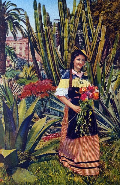 Nicoise. Pohlednice z doby kolem roku 1930. Městský archiv v Nice. od Unknown Artist