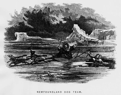 Severní pól: psí spřežení vznášející se muž padá ledem - Elisha Kent Kane, Arctic Explorations v letech 1853-1855, Philadelphia, Childs a Peterson od Unknown artist