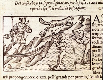 Norští lovci pohybující se přes lyže. rytina Olause Magnuse (1490 - 1557), švédského náboženského a geografa, „Historia de Gentis Septentrionalibus“, Benátky od Unknown artist