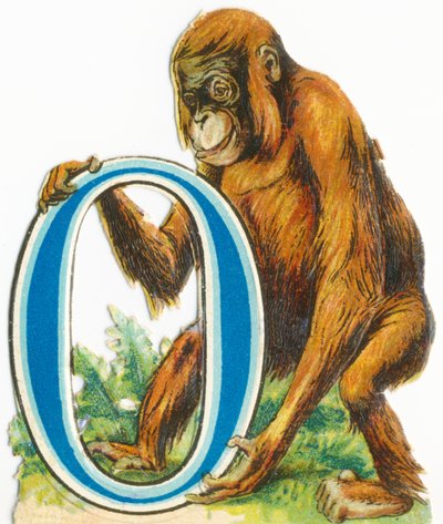 O: Orangutan od Unknown artist