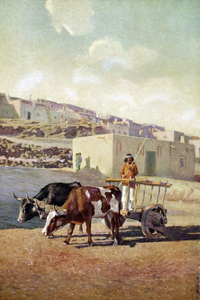 Starý vozík tažený dvěma voly, řízený indiánem z kmene Pueblo v Laguně v Novém Mexiku. od Unknown artist
