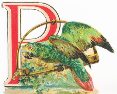 P: Papoušek od Unknown artist