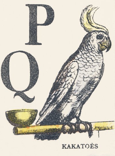 P Q: kakatoes od Unknown artist