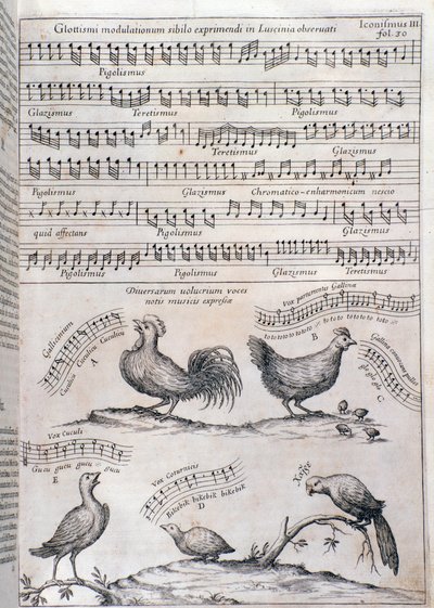 Stránka z Musurgia (1650) od Unknown artist