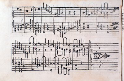 Stránka z „“ Tablature; Kniha 1”” od Gerolama Cavazzoniho od Unknown artist