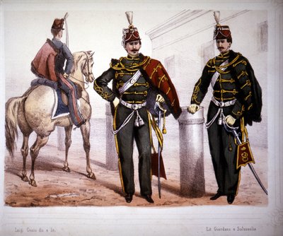 Piacenza Hussars (Itálie), kostým v roce 1866. od Unknown artist