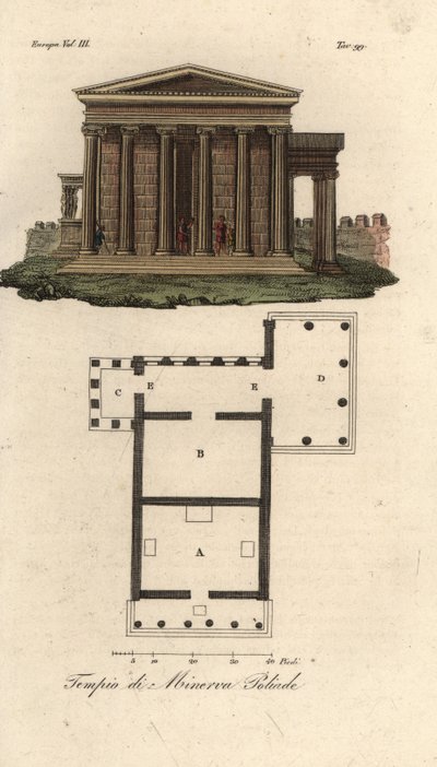 Půdorys a výška Erechtheion nebo Erechtheum A, Chrám Neptuna B, Chrám Minervy Polias s verandou Caryatids C a Chrám Pandrosus nebo Pandrosion D od Unknown artist