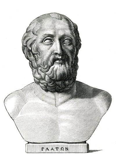Platón od Unknown artist