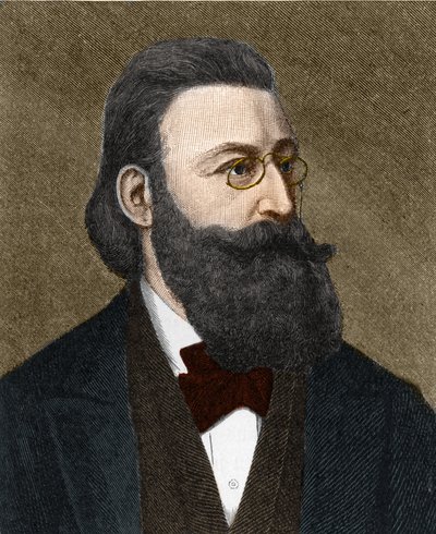 Portrét Ludwig Anzengruber (1839-1889), rakouský spisovatel. od Unknown artist