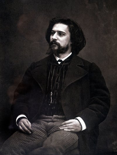 Portrét mladého Alphonse Daudeta od Unknown artist