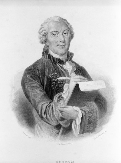 Portrét Buffona (1707 - 1788), francouzského přírodovědce a spisovatele. od Unknown artist