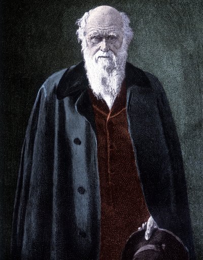 Portrét Charlese Darwina, britského přírodovědce (1809 - 1882) od Unknown artist