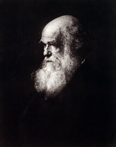 Portrét Charlese Roberta Darwina (1809 - 1882) od Unknown artist