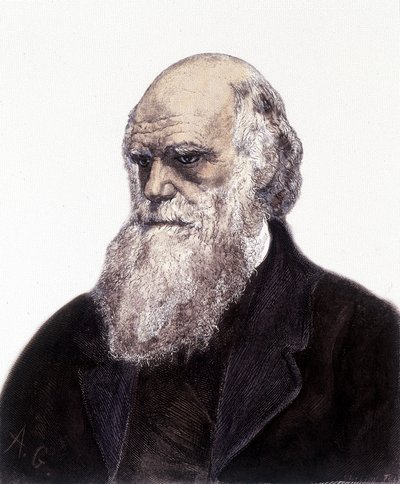 Portrét Charlese Roberta Darwina, britského přírodovědce (1809-1882) od Unknown artist