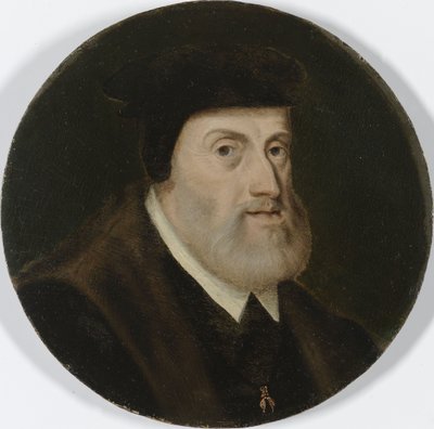 Portrét Karla V., kolem roku 1550 (olej na panelu) od Unknown artist