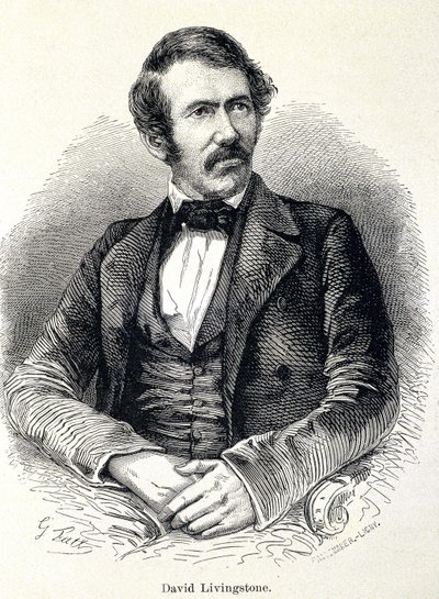 Portrét David Livingstone, skotský misionář (1813-1873) od Unknown artist
