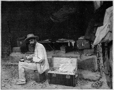 Portrét doktora Francoise CROZATA (1858-1892) francouzského cestovatele od Unknown artist