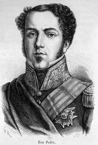 Portrét Dona Pedra od Unknown artist