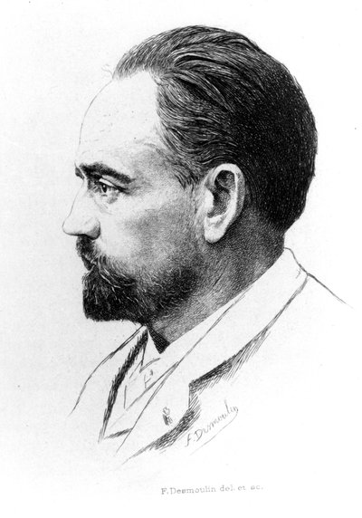 Portrét Emila Zoly od F. Desmoulina. od Unknown artist